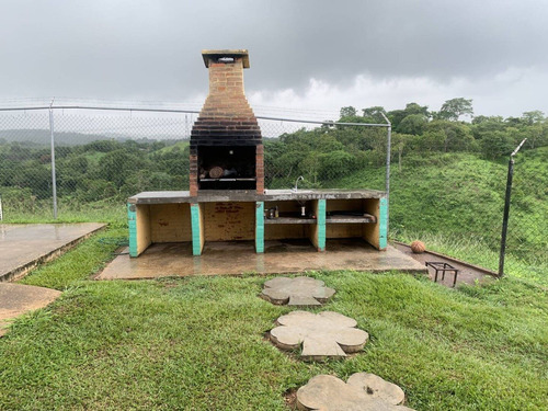 Imagen 14 de 14 de Venta Finca Tocuyito Carabobo Cod. 148247