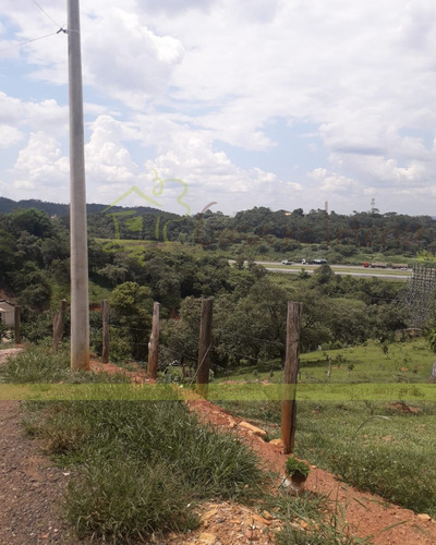 Imagem 4 de 4 de Terreno - Te00081 - 70623881