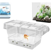 Comprar X Caja De Tanques De Peces Pez Betta Peces Incubadora De