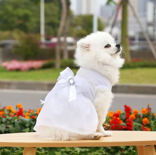 Vestido Fiesta Gala Formal Boda Año Nuevo Ropa Perrita Perro