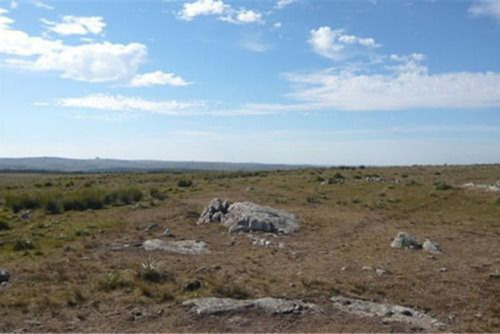 Campo Ideal Forestal En Lavalleja Ref. 381