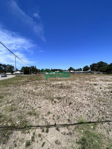 Imagen 2 de 13 de Terrenos En Venta El Pinar Vista Sobre Interbalnearia. (financia)