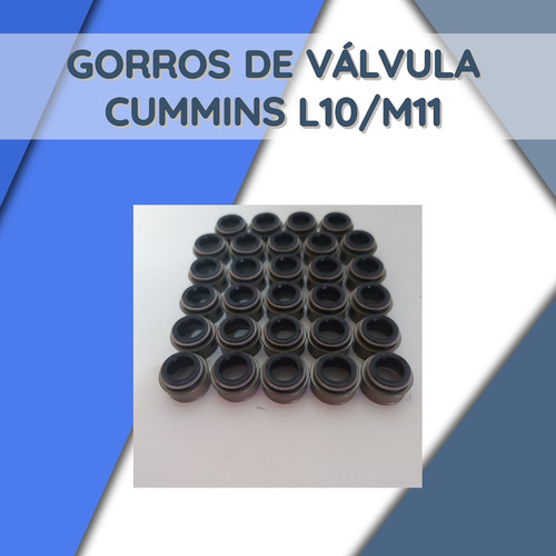 Gorros/sellos De Valvula Cummins L10/m11