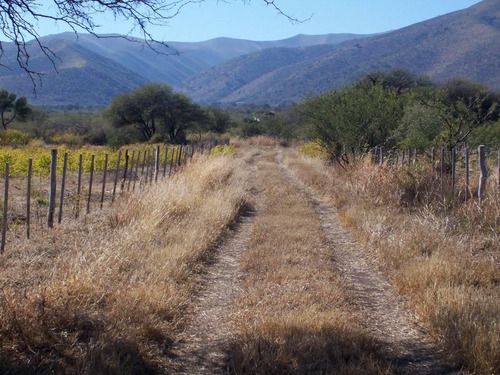 Imagen 2 de 9 de Fracción De 5 Ha. Charbonier( Última Disponible)