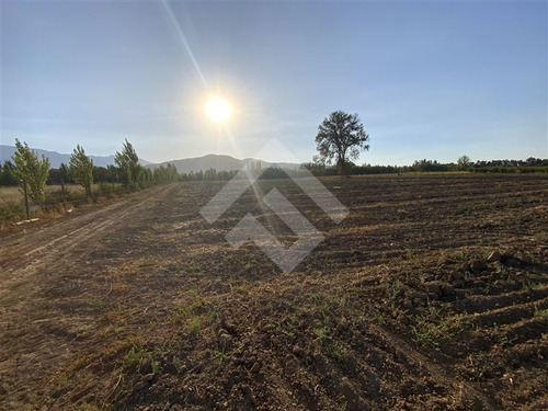 Imagen 13 de 27 de Parcela Agrícola En Venta En Paine