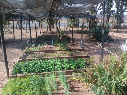 Imagem 7 de 17 de Chácara Com 2 Dormitórios À Venda, 819 M² Por R$ 222.000,01 - Área Rural De Artur Nogueira - Artur Nogueira/sp - Ch0140