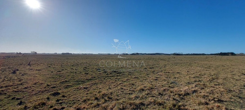 Imagen 1 de 28 de Venta Campo Ideal Para Fraccionar En Chacras Codigo 6003 - Las Garzas