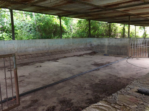 Dc224456 En Venta Hermosa Finca En Los Chaguaramos, Sabaneta Norte - Montalbán Carabobo