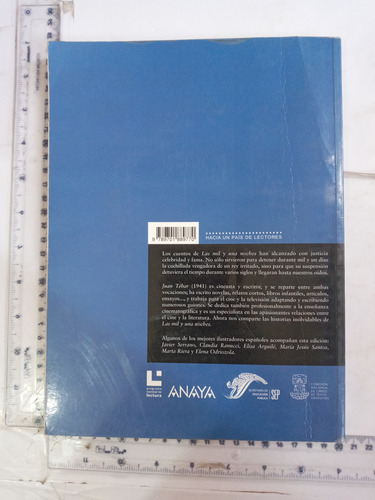 Cuentos De Las 1001 Noches Juan Tebar Libros Del Rincon (Usado)