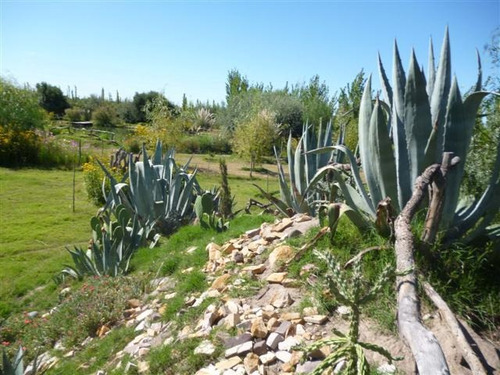 Salto Las Rosas- San Rafael