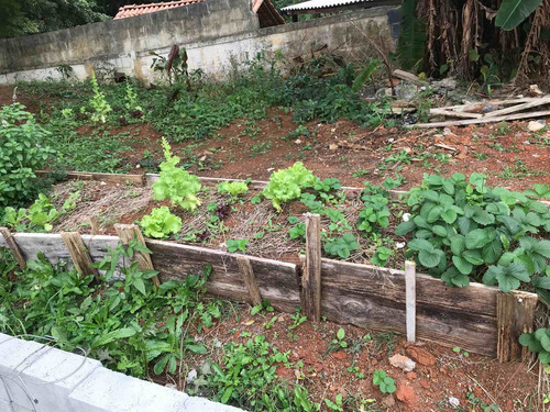 Chácara Com 3 Suítes, 1 Lavabo, Ampla Sala, Cozinha Terraço