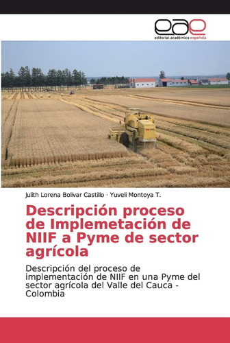 Libro: Descripción Proceso De Implemetación De Niif A Pyme