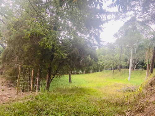 Imagen 2 de 7 de Venta Solar Jarabacoa