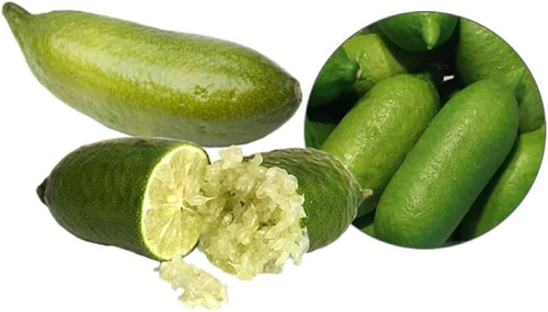 Limón Caviar Verde Ice + Mas Semillas