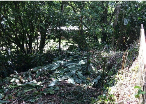 Terreno En Venta Monte Elena Es24-5378