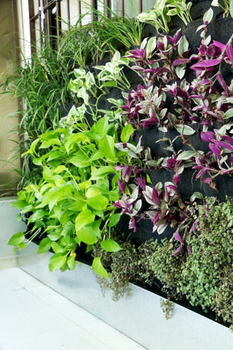 Jardín Vertical. Muro Verde. Diseño Y Presupuesto