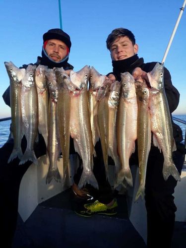 Imagen 4 de 5 de Guia Pesca Pejerrey Embarcada Rio De La Plata