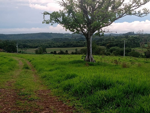 Imagem 4 de 30 de 14 Alqueires Região Angatuba Sp Com Casa Simples Bão Água Luz, Ótima Localização, 10 Km Angatuba Por Estrada Cascalhada Oportunidade... - St00037 - 68969916