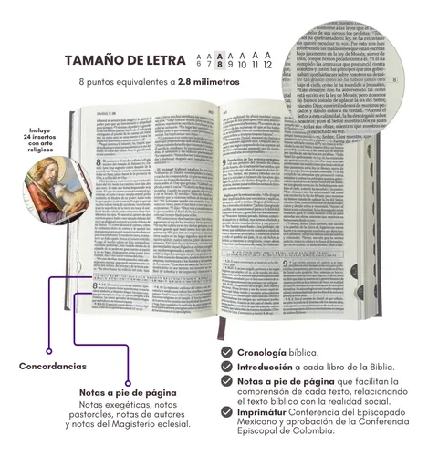 Sagrada Biblia De América - Estudio Con Uñero