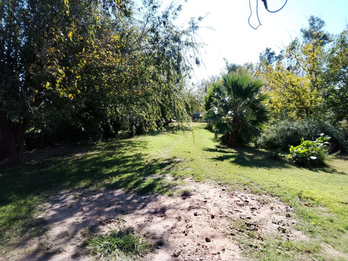 Alquiler Permanente Casa Quinta Cañuelas