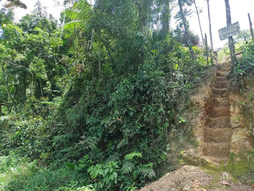 Imagem 7 de 8 de Terreno Para Venda Em Itapecerica Da Serra, Jardim Renata - 641_2-1449011