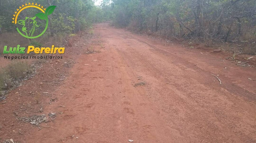 Imagem 12 de 15 de Fazenda À Venda Em São Valério -to - 1.026 Hec (excelente Para Agricultura) - 1520