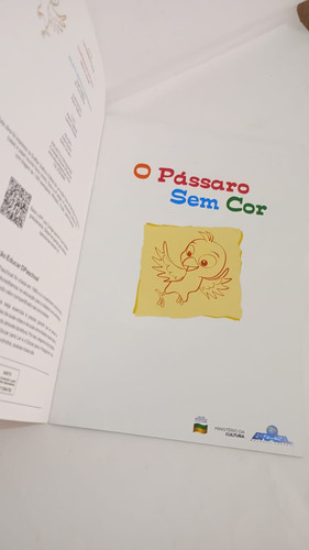 O Pássaro Sem Cor - Luis Noberto Pascoal