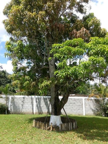 Terrenos En Venta En Ojite Veracruz, Casa Ypalapa