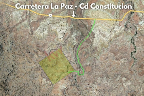Terreno De 1,000 Ha En Km 97 Carretera A C.constitucion Con Ojo De Agua B.c.s.