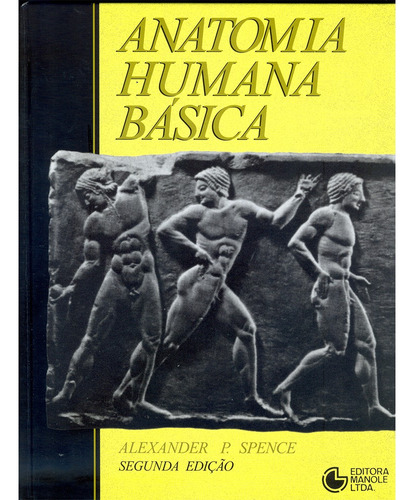 Anatomia Humana Basica