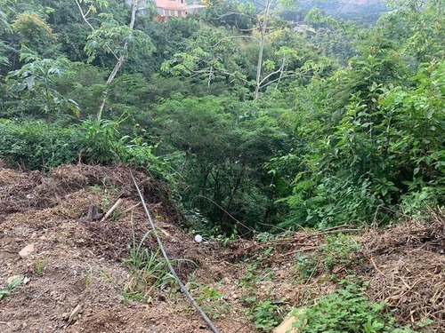 Imagen 8 de 10 de Con Excelente Ubicación Terreno En Venta - Urb Caicagua - Mls#22-21481