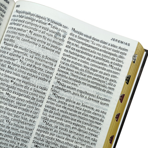 Biblia Viva Letra Extra Grande Capa Dura Louvor Com Indice Lateral