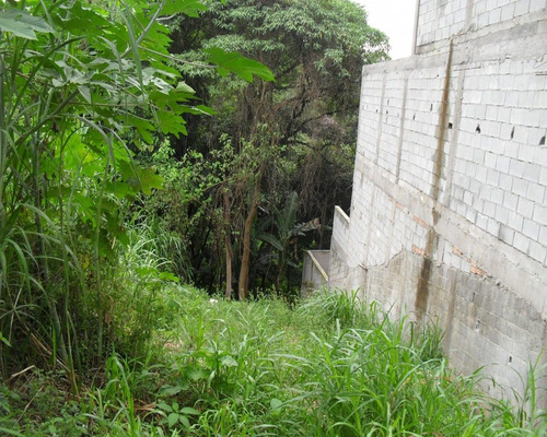 Imagem 2 de 2 de Terreno - Ls7982 - 32299181