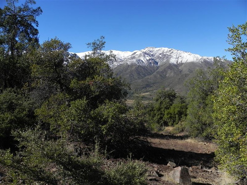 Parcela En Venta En San Francisco De Los Andes