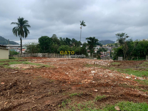 Imagem 4 de 8 de Terreno Comercial Para Venda Em Cajamar, Jordanésia (jordanésia) - 20720_1-1703484