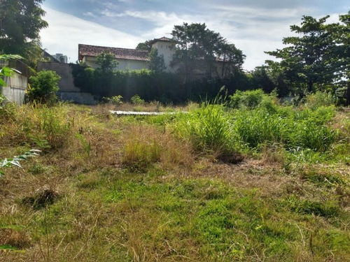 Imagem 10 de 14 de Terreno - Lri1135 - 32804973
