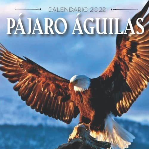Libro: Pájaro Águilas Calendario 2022: Calendario 2022 Para