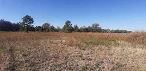 Imagen 3 de 9 de Campo 7ha - Apto Loteo - Con Escritura - Alta Gracia
