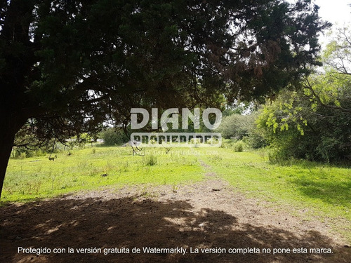 Imagen 3 de 11 de Oportunidad - Chacra Completa - Campo Minas