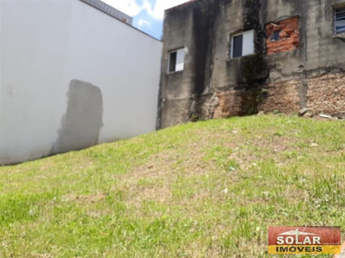 Imagem 2 de 4 de Terreno Vila Esperança São Paulo/sp - 11395