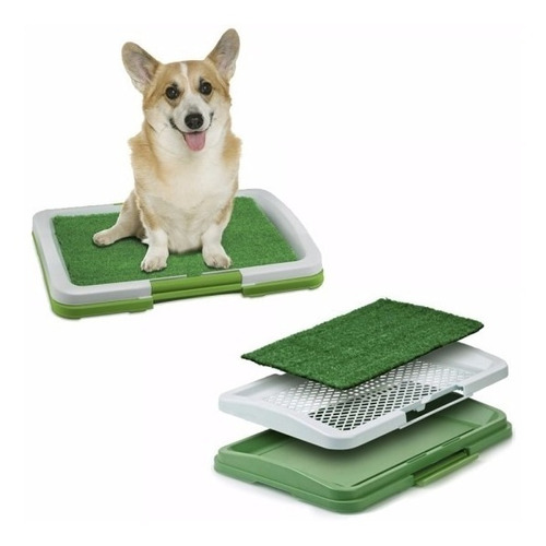 Tapete Canino D Adiestramiento Perros Potty Pasto + Regalo!!