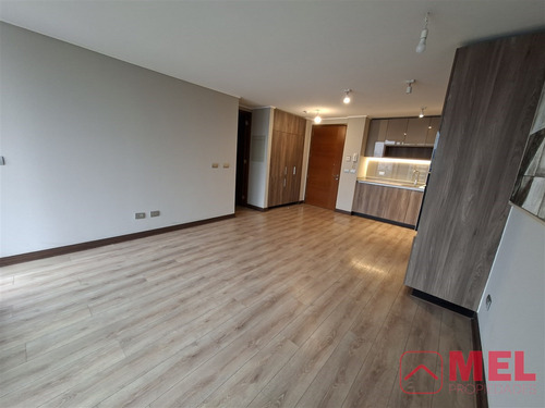 Arriendo Excelente Depto 1 Dorm Full Equipado En Providencia