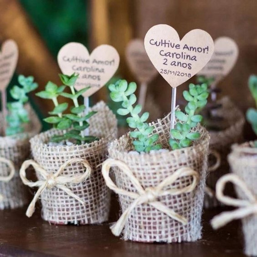Imagen 5 de 6 de Cactus Y Suculentas Personalizadas, Recuerdos, Detalles