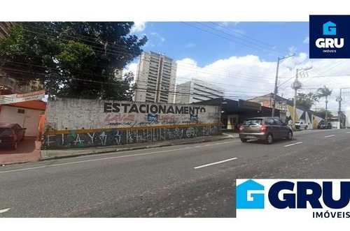 Imagem 3 de 10 de Terreno De 2.100 M² Localizado No Centro - Te703