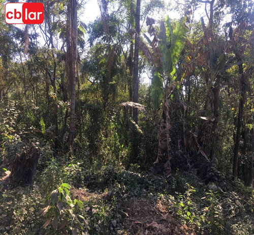 Imagem 8 de 11 de Terreno - Te00155 - 70027908