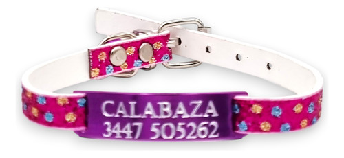 Combo Chapita Pasante + Collar Glamour Cat Violeta Pasacat
