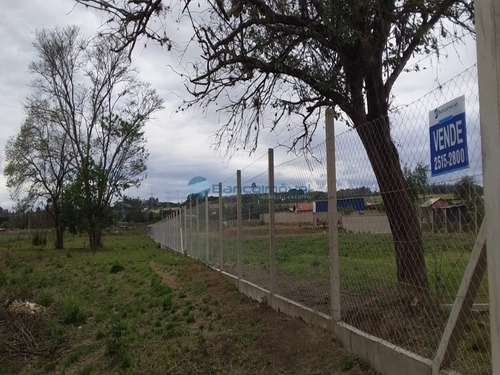 Imagem 15 de 18 de Chacara - Ch00126 - 68868949