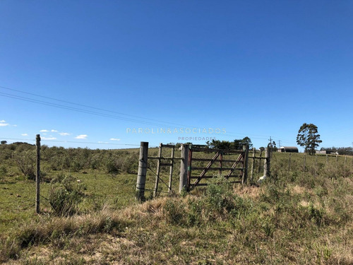 Campo En Venta Excelente Lugar- Ref: 3643