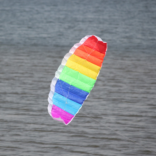 Acrobacia Colorida Con Alas De Doble LĂnea De Vuelo De 1/1,4
