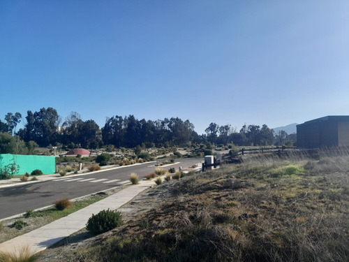 Condominio Los Maitenes / Maitencillo